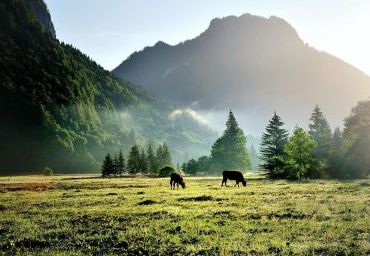 Hotelumgebung Sommereindrücke
